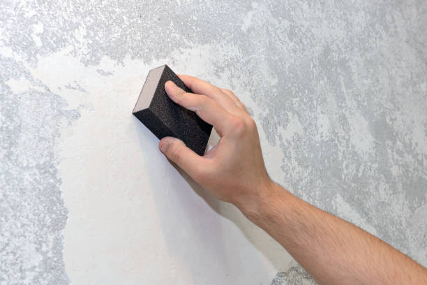 Best Real Estate Mold Inspection  in Takoma Park, MD