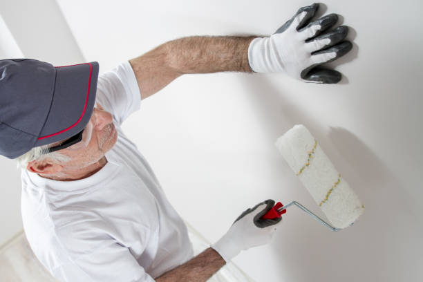 Best Mold Damage Restoration  in Takoma Park, MD
