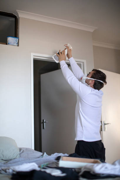 Best Environmental Consulting for Mold Prevention  in Takoma Park, MD