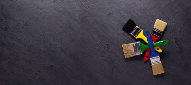 Professional Mold Removal in Takoma Park, MD