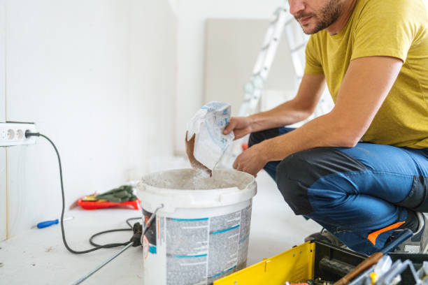 Best Black Mold Removal  in Takoma Park, MD