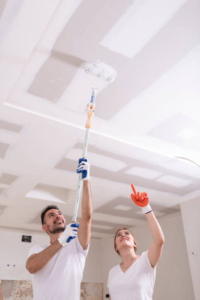 Best Attic Mold Removal  in Takoma Park, MD