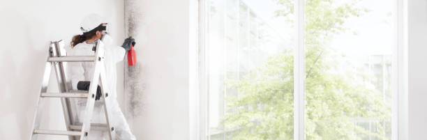 Best Comprehensive Air Testing for Mold Contaminants  in Takoma Park, MD