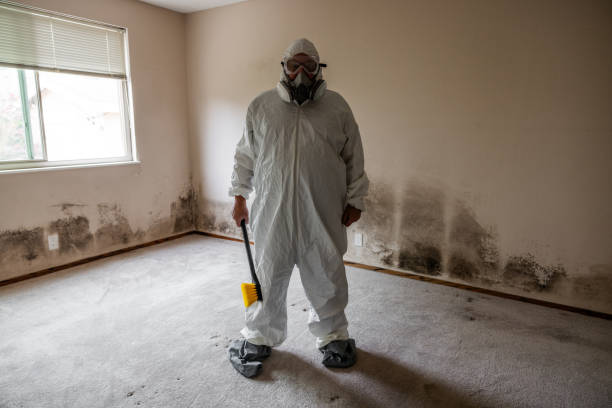 Best Commercial Mold Inspection  in Takoma Park, MD