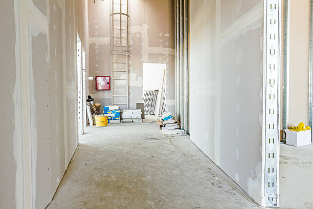 Best Emergency Mold Remediation  in Takoma Park, MD