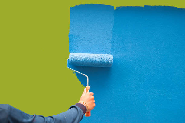 Best Basement Mold Removal  in Takoma Park, MD